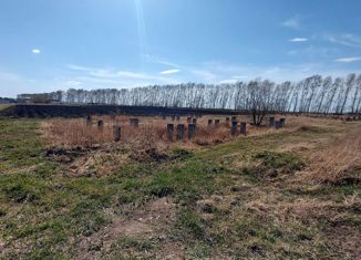 Продаю земельный участок, 40 сот., село Тамбовка, переулок Арсеньева