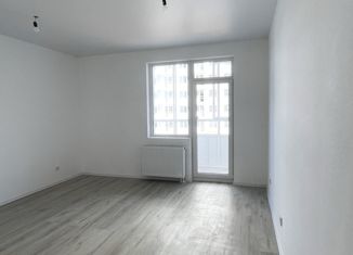 Квартира на продажу студия, 24.7 м2, Санкт-Петербург, ЖК Новоорловский, Суздальское шоссе, 24к3