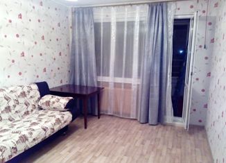 Комната в аренду, 46 м2, Санкт-Петербург, улица Черкасова, 12к2, муниципальный округ № 21