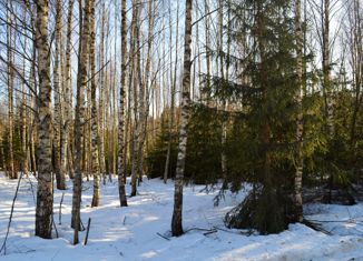 Продажа земельного участка, 8.84 сот., деревня Шадрино, Сосновая улица