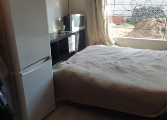 Аренда дома, 36 м2, деревня Цибино, Трудовая улица, 26