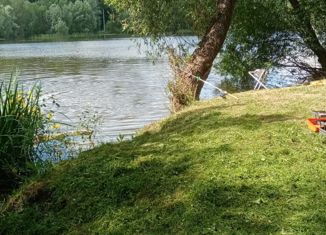 Продаю участок, 32 сот., деревня Кофаново, Ягодная улица