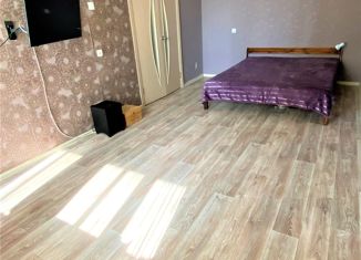 1-комнатная квартира на продажу, 38 м2, поселок Зональная Станция, улица Виталия Грачёва, 4А