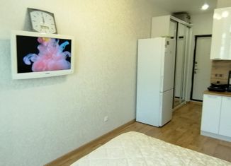 Продается однокомнатная квартира, 23 м2, село Орёл-Изумруд, улица Лазурная Долина, 191А