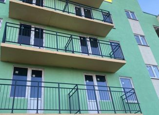 Продается 1-комнатная квартира, 39.7 м2, посёлок Пудость, улица Половинкиной, 71А