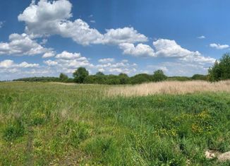 Земельный участок на продажу, 100 сот., село Новая Усмань, Порт-Артурская улица, 18