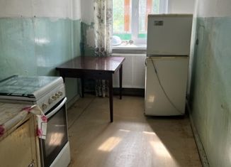Продажа 1-ком. квартиры, 28 м2, село Плеханово, Центральная улица, 6