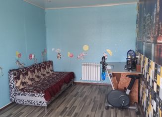 Продается дом, 49.4 м2, село Бижбуляк, улица Ираиды Петровой, 10