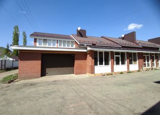 4-ком. квартира на продажу, 250 м2, деревня Якты-Куль, Степная улица, 20