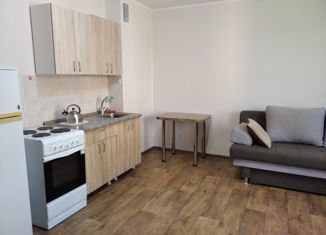 Квартира в аренду студия, 25 м2, Чебоксары, улица Академика В.Н.Челомея, 7, Ленинский район