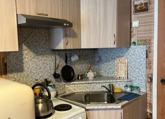 Сдача в аренду 1-ком. квартиры, 23 м2, село Чертовицы, Транспортная улица, 3