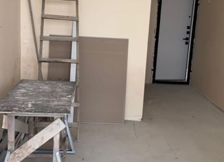 Продажа 1-комнатной квартиры, 27.6 м2, село Орёл-Изумруд, улица Гастелло, 40А