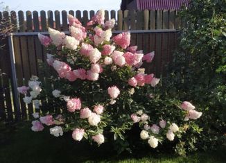 Продается дом, 82 м2, СНТ Маяк, Садовая улица, 10