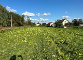 Продам земельный участок, 15 сот., деревня Ватолино, деревня Ватолино, 6А