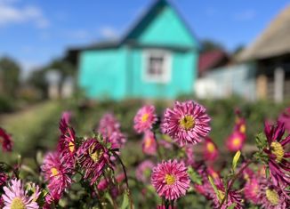 Продается дом, 24 м2, деревня Новые Сарайлы, Центральная улица