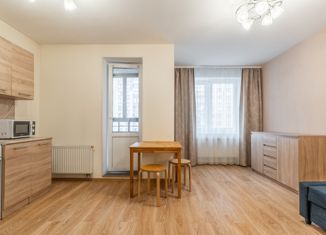 Продаю квартиру студию, 27.8 м2, деревня Кудрово, Пражская улица, 12