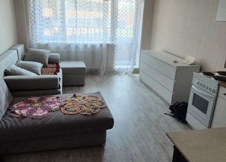 Сдаю в аренду квартиру студию, 27 м2, Удмуртия, Северная улица, 25