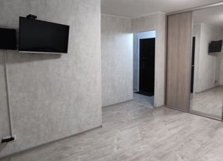 Продается 1-комнатная квартира, 28 м2, Екатеринбург, улица Куйбышева, 72, метро Геологическая