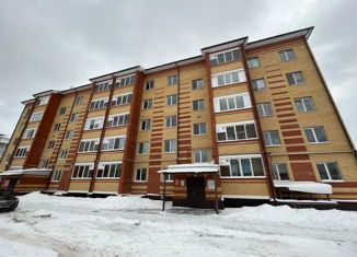 Продажа трехкомнатной квартиры, 78 м2, село Высокая Гора, Большая Красная улица, 220