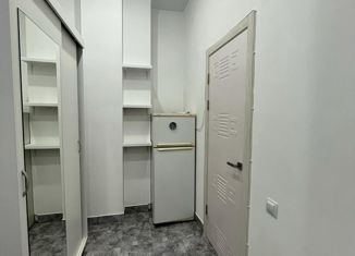 Продам квартиру студию, 27 м2, Октябрьский, улица Рахимьяна Насырова, 4