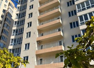 Продаю 1-комнатную квартиру, 23.9 м2, село Краевско-Армянское, Измайловская улица, 23А