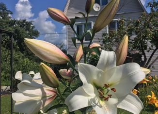 Продается дом, 96 м2, СНТ Рогово-1, СНТ Рогово-1, 125