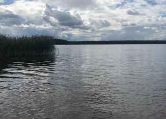 Продаю дом, 50 м2, деревня Соколье (Алёшинский сельсовет), Сосновая улица