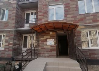 Продается квартира студия, 24 м2, село Нежинка, Фестивальная улица, 25