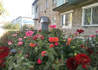 Продажа однокомнатной квартиры, 28.1 м2, село Плеханово, Центральная улица, 4