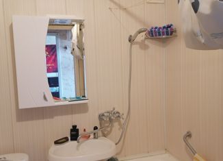 Продается 1-ком. квартира, 26.6 м2, деревня Козино, улица Санаторно-лесной школы № 1, 9