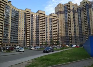 Однокомнатная квартира на продажу, 34 м2, Санкт-Петербург, улица Фёдора Абрамова, 21к3, метро Парнас