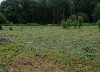 Продажа земельного участка, 16.25 сот., деревня Шепелиха