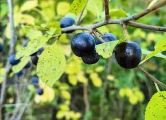 Продажа дома, 27.1 м2, Краснотурьинск, Центральная площадь