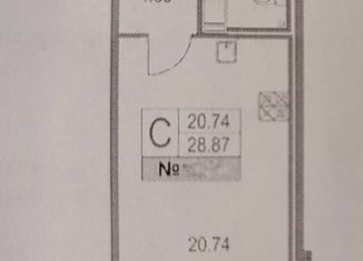 Продам квартиру студию, 28.87 м2, Санкт-Петербург, Ипподромный переулок, Ипподромный переулок