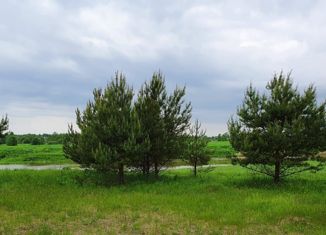 Продам участок, 15 сот., деревня Курьяново