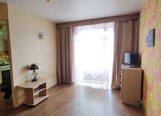 Продаю 1-комнатную квартиру, 27 м2, Ставропольский край, Любимая улица, 1