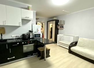 Продам квартиру студию, 25 м2, посёлок Парголово, улица Фёдора Абрамова, 18к1, ЖК Северная Долина