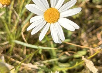 Участок на продажу, 8.3 сот., село Таптыково