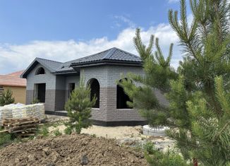 Продам дом, 127 м2, деревня Елань, Люблинская улица