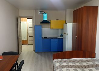 Продается квартира студия, 25.4 м2, Ижевск, Курортная улица, 8