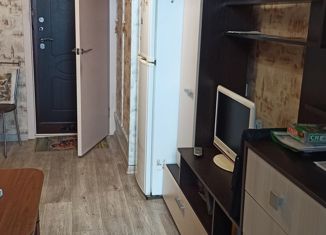 Комната на продажу, 250 м2, Санкт-Петербург, проспект Энтузиастов, 51к2, проспект Энтузиастов