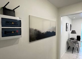 Продам квартиру студию, 26 м2, Санкт-Петербург, Заречная улица, 11к2, метро Парнас