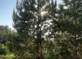 Продаю земельный участок, 8 сот., садоводческое товарищество Искра