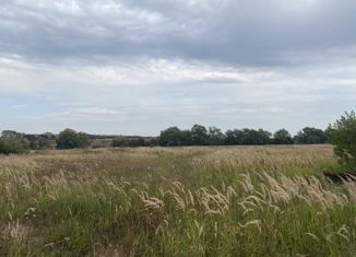 Продаю участок, 10 сот., деревня Раздолье, Берёзовая улица