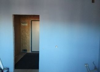 Продам квартиру студию, 24.6 м2, городской посёлок Новоселье, Центральная улица, 3к2