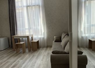 Сдается в аренду квартира студия, 18 м2, Сочи, улица Тимирязева, 53Г, микрорайон Донская