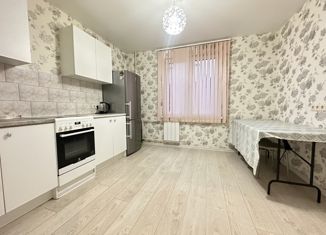 Продажа 1-комнатной квартиры, 38.9 м2, Санкт-Петербург, Долгоозёрная улица, 37к2, Долгоозёрная улица