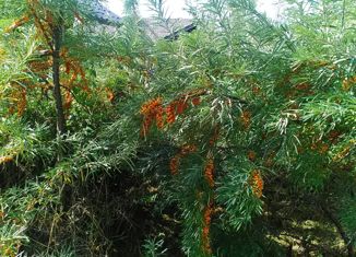 Участок на продажу, 81 сот., деревня Бобки