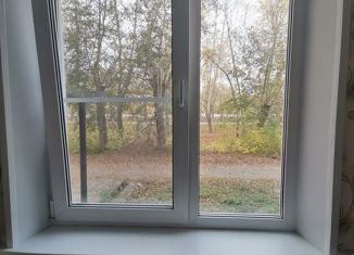 Продается двухкомнатная квартира, 53.5 м2, рабочий посёлок Первомайский, Цветная улица, 5А