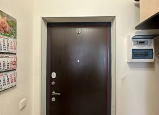 Продаю 1-комнатную квартиру, 34.3 м2, Кудрово, Столичная улица, 2, ЖК Лондон